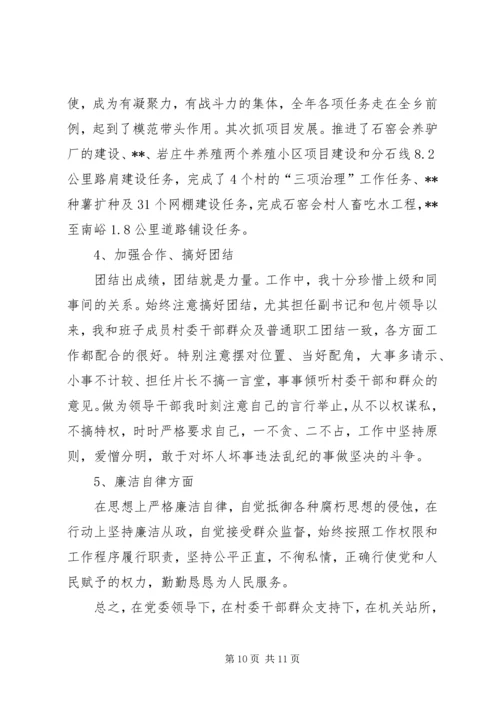 乡长个人履职尽职报告.docx