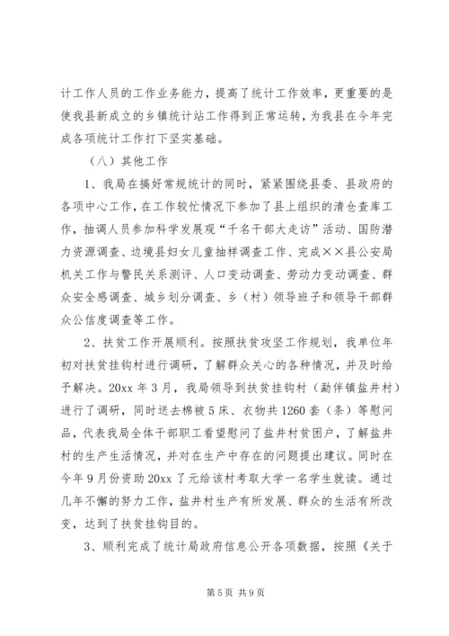 统计局工作总结和工作计划.docx
