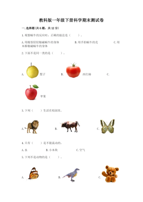 教科版一年级下册科学期末测试卷【典型题】.docx