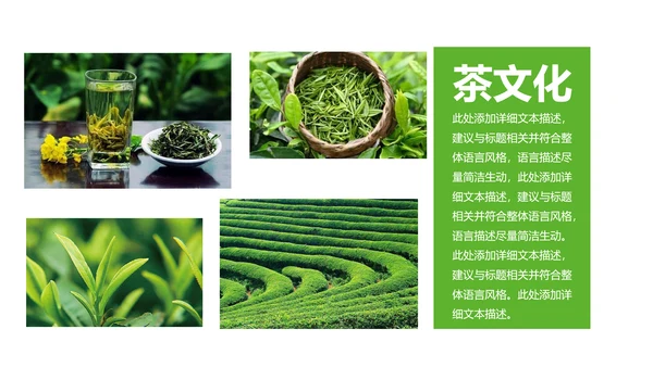 清新茶文化采茶茶道茶艺茶文化PPT模板
