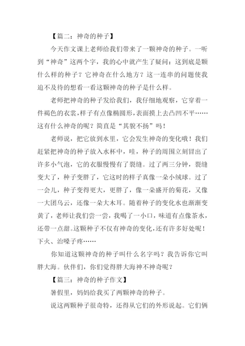 神奇的种子作文.docx