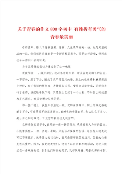 关于青春的作文800字初中有挫折有勇气的青春最美丽