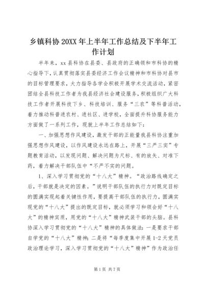 乡镇科协某年上半年工作总结及下半年工作计划.docx