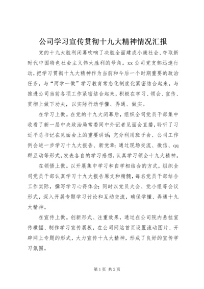 公司学习宣传贯彻十九大精神情况汇报.docx