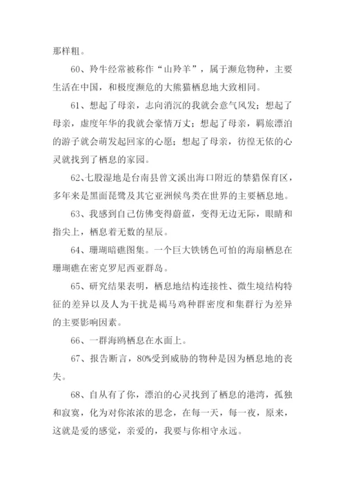 栖息的近义词是什么.docx