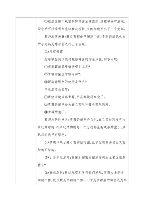 5.4.3真菌
