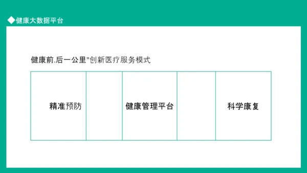 健康大数据平台健康预防重于医学治疗PPT