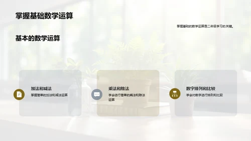 全面解析二年级