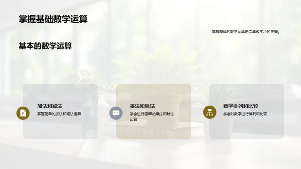 全面解析二年级