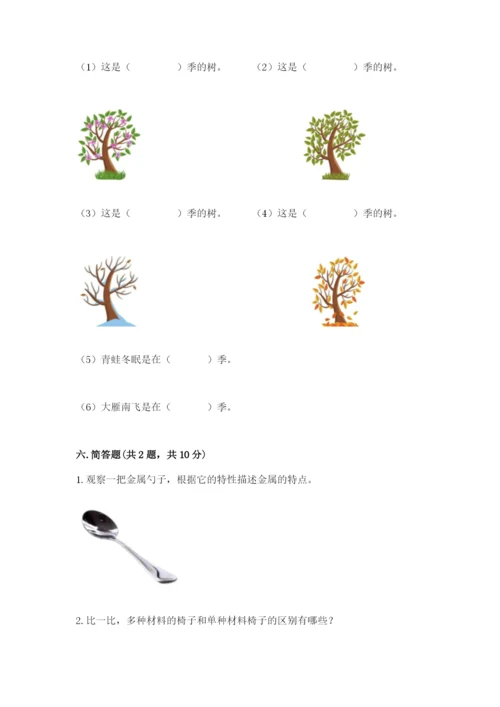 教科版科学二年级上册期末考试试卷附参考答案（典型题）.docx