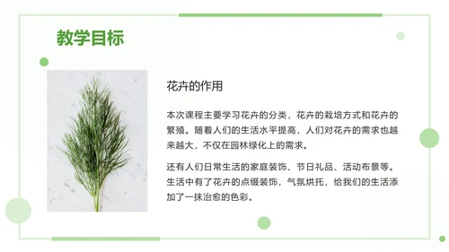 绿色清新教学课件ppt模板