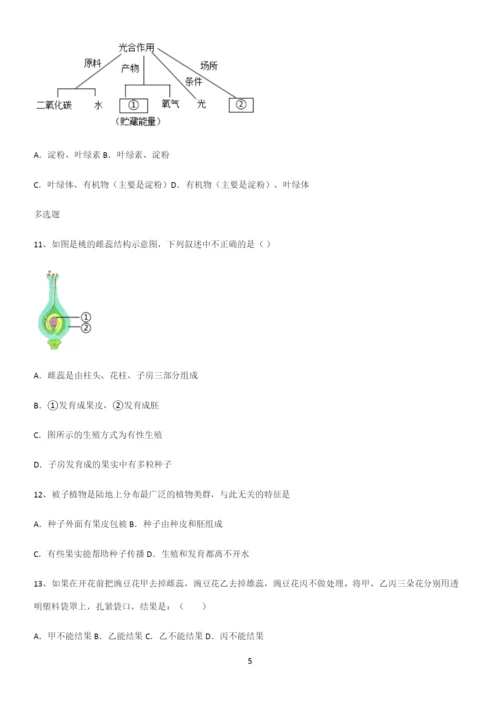 通用版初中生物七年级上册第三单元生物圈中的绿色植物考点突破.docx