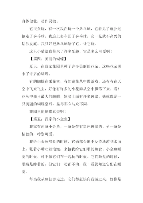 小动物作文150字.docx