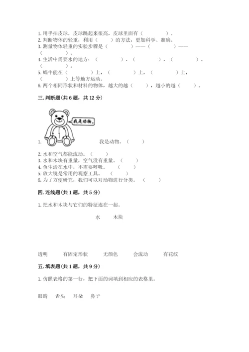 教科版小学科学一年级下册期末测试卷（夺冠系列）.docx