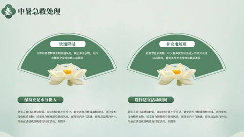 绿色清新夏季防暑降温健康指南PPT模板