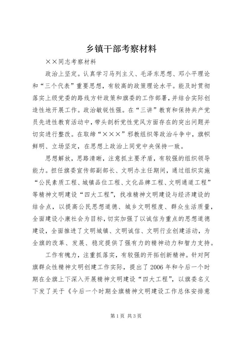 乡镇干部考察材料.docx