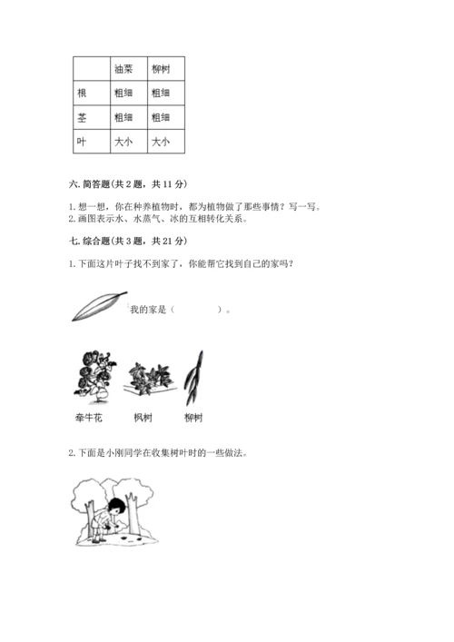 教科版科学一年级上册第一单元《植物》测试卷【必刷】.docx