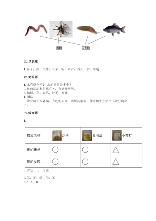 教科版一年级下册科学期末测试卷带答案（综合题）.docx