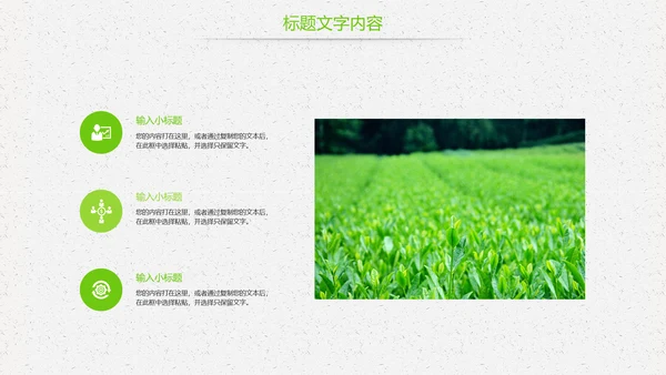 唯美绿色茶园茶文化品茶论道PPT模板