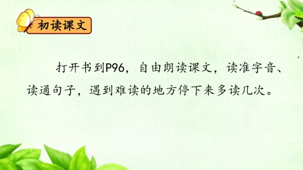 22《小毛虫》课件