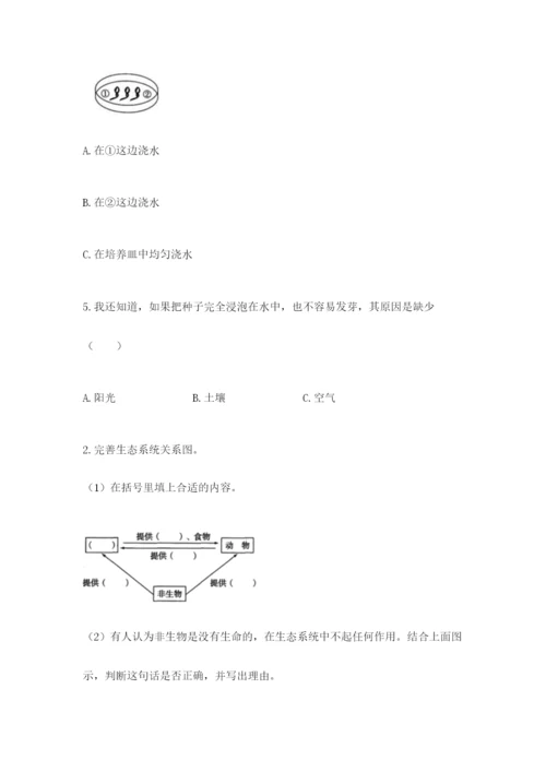 教科版五年级下册科学第一单元《生物与环境》测试卷附答案（完整版）.docx