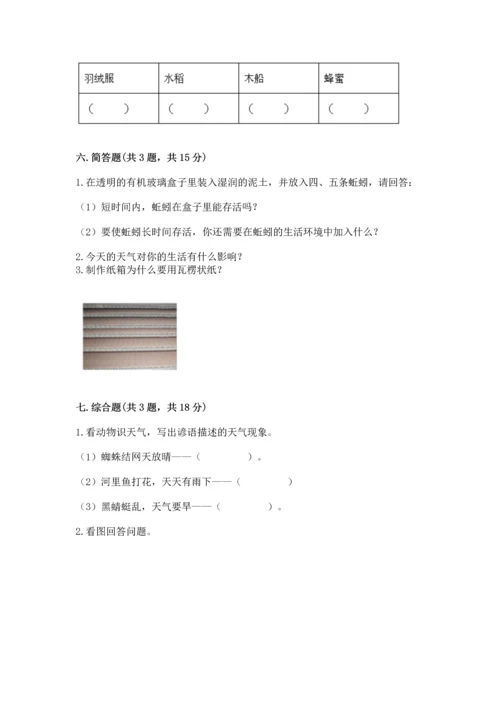 教科版二年级上册科学期末测试卷精品【实用】.docx
