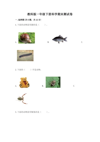 教科版一年级下册科学期末测试卷及参考答案【考试直接用】.docx