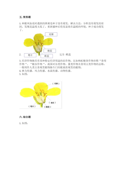 科学四年级下册第一单元《植物的生长变化》测试卷【易错题】.docx