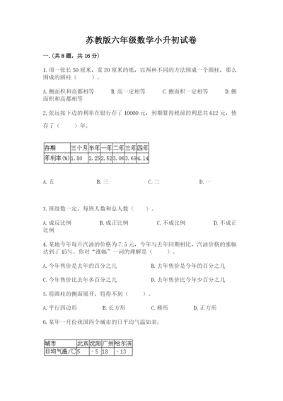 苏教版六年级数学小升初试卷【研优卷】.docx