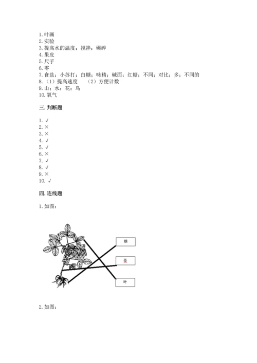 教科版一年级上册科学期末测试卷带答案（b卷）.docx