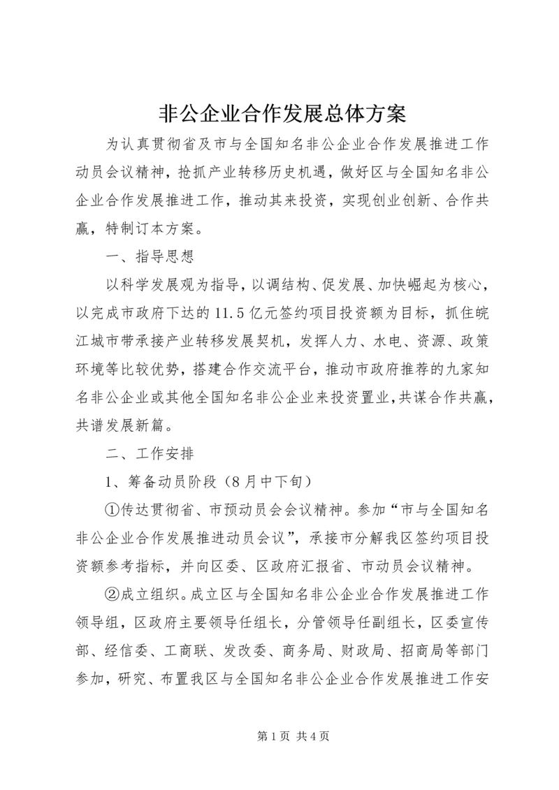 非公企业合作发展总体方案.docx