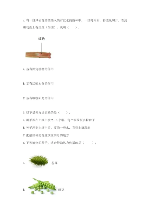 科学四年级下册第一单元《植物的生长变化》测试卷完整.docx