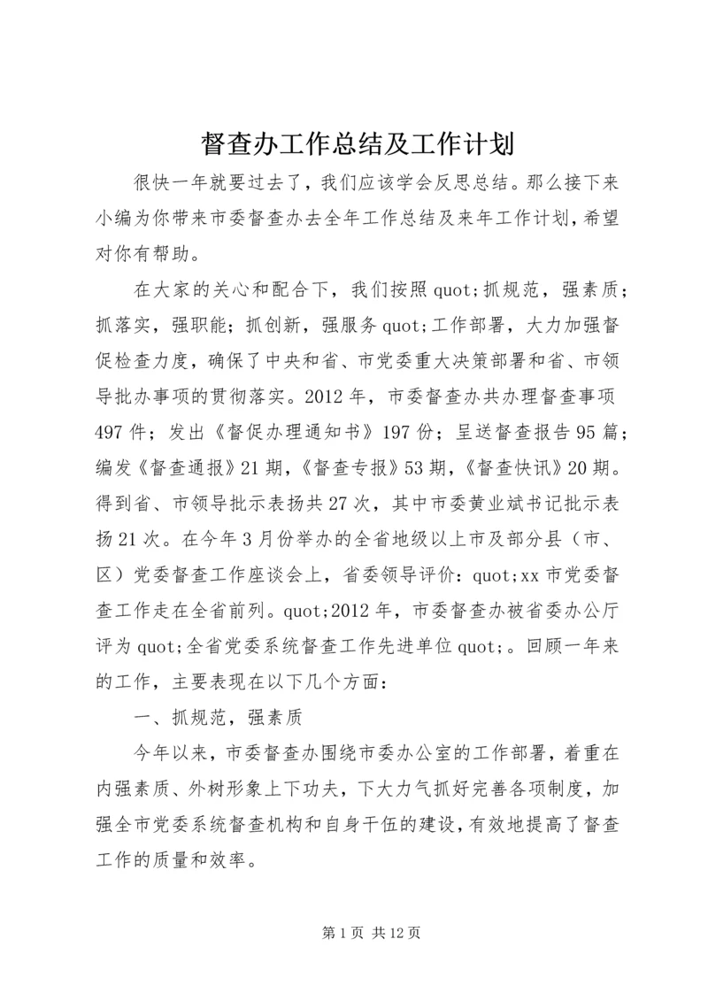 督查办工作总结及工作计划.docx