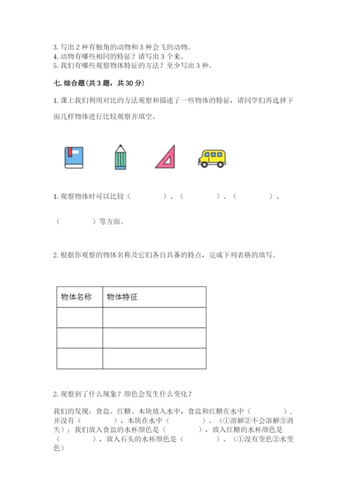 教科版小学科学一年级下册期末测试卷及参考答案（考试直接用）.docx