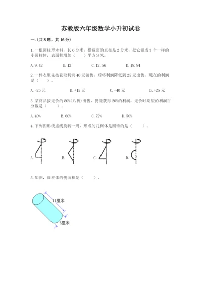 苏教版六年级数学小升初试卷【达标题】.docx