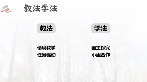 三年级语文上册灰雀说课课件