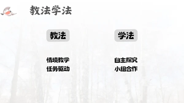 三年级语文上册灰雀说课课件