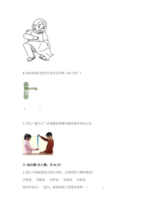 教科版二年级下册科学期末测试卷（word）.docx