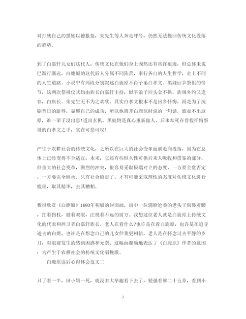 精编《白鹿原》心得体会范文800字2.docx