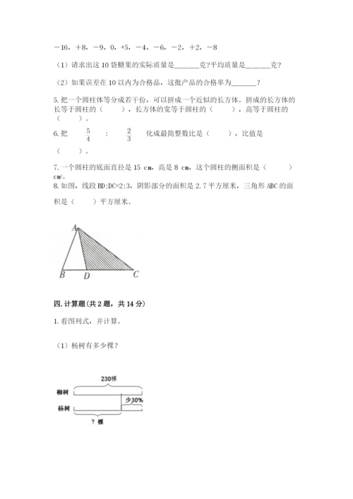 双清区六年级下册数学期末测试卷及完整答案1套.docx