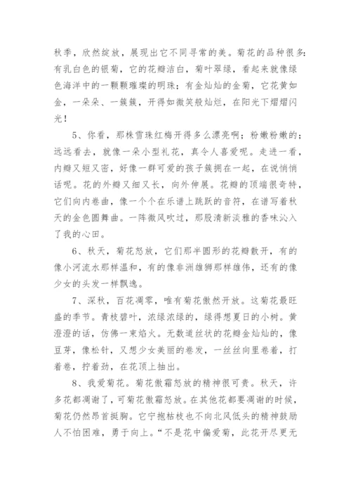 描写菊花的优美句子.docx