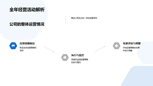 20XX年度公司全景解析