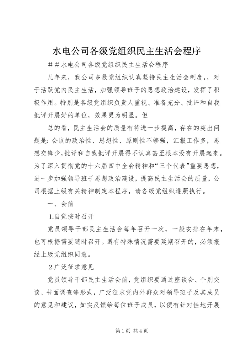 水电公司各级党组织民主生活会程序 (4).docx