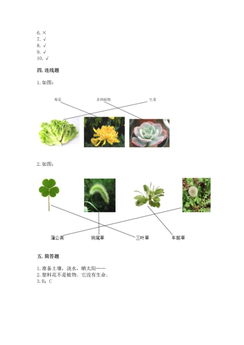 教科版一年级上册科学期末测试卷及1套参考答案.docx