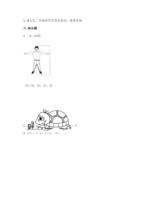 教科版二年级下册科学期末测试卷（有一套）word版.docx