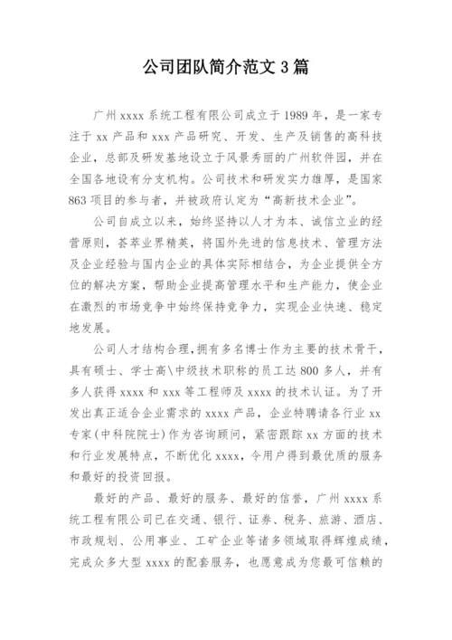 公司团队简介范文3篇.docx