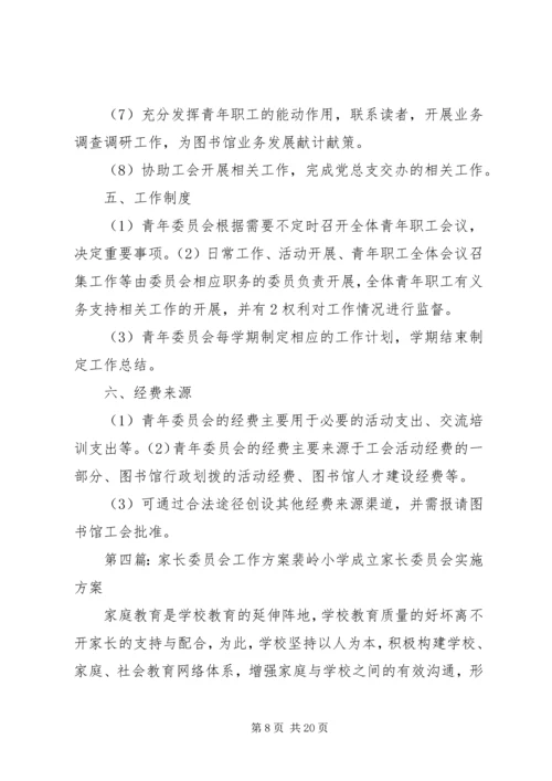 青年工作委员会方案.docx