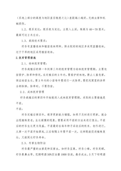 园林绿化施工组织.docx