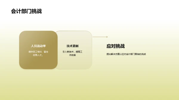 财务解析：20XX年度总结