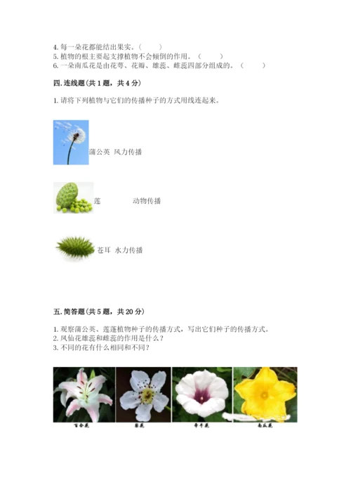 科学四年级下册第一单元《植物的生长变化》测试卷含答案（名师推荐）.docx